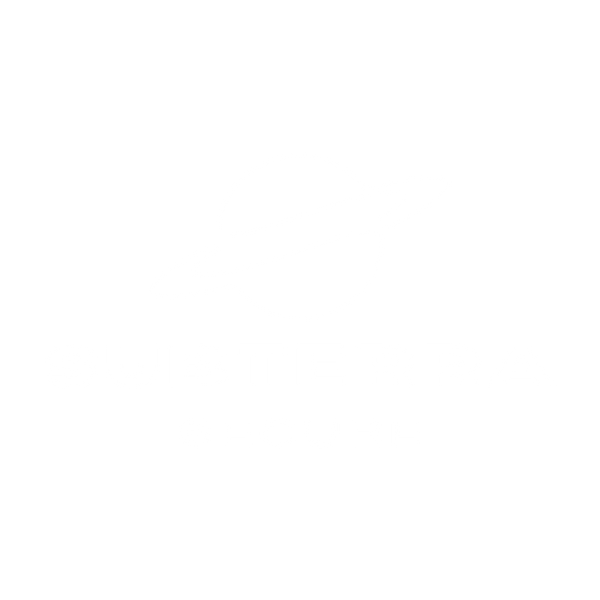 Subterra Secure Inc